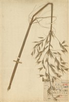 藏品(野燕麥)的圖片